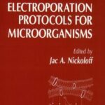 خرید و دانلود نسخه کامل کتاب Electroporation Protocols for Microorganisms