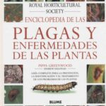 خرید و دانلود نسخه کامل کتاب Enciclopedia de las Plagas y Enfermedades de las Plantas