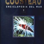 خرید و دانلود نسخه کامل کتاب Enciclopedia del mar 7