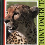 خرید و دانلود نسخه کامل کتاب Enciclopedia del reino animal
