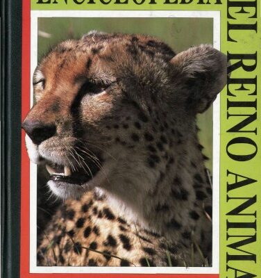 خرید و دانلود نسخه کامل کتاب Enciclopedia del reino animal