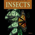 خرید و دانلود نسخه کامل کتاب Encyclopedia of Insects