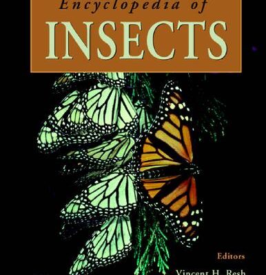 خرید و دانلود نسخه کامل کتاب Encyclopedia of Insects