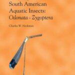 خرید و دانلود نسخه کامل کتاب Encyclopedia of South American Aquatic Insects: Odonata -Zygoptera: Illustrated Keys to Known Families, Genera, and Species in South America