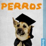 خرید و دانلود نسخه کامل کتاب Entrenamiento de perros