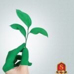 خرید و دانلود نسخه کامل کتاب Environment – Shankar IAS Academy