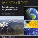 خرید و دانلود نسخه کامل کتاب Environmental Microbiology: From Genomes to Biogeochemistry