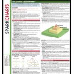 خرید و دانلود نسخه کامل کتاب Environmental Studies SparkCharts