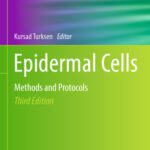 خرید و دانلود نسخه کامل کتاب Epidermal Cells: Methods and Protocols