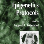 خرید و دانلود نسخه کامل کتاب Epigenetics Protocols