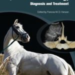 خرید و دانلود نسخه کامل کتاب Equine Back Pathology: Diagnosis and Treatment
