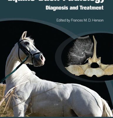 خرید و دانلود نسخه کامل کتاب Equine Back Pathology: Diagnosis and Treatment