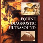 خرید و دانلود نسخه کامل کتاب Equine Diagnostic Ultrasound, 1e