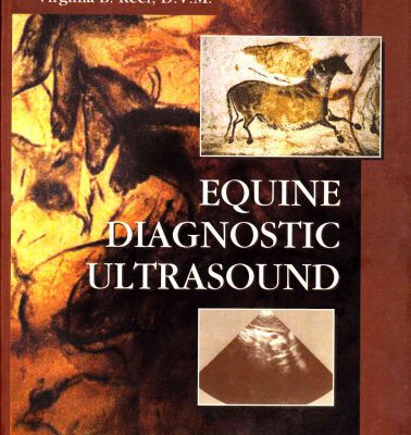 خرید و دانلود نسخه کامل کتاب Equine Diagnostic Ultrasound, 1e