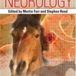خرید و دانلود نسخه کامل کتاب Equine Neurology