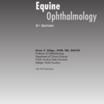 خرید و دانلود نسخه کامل کتاب Equine Ophthalmology, 2nd Edition