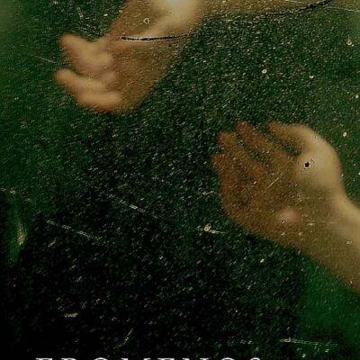 خرید و دانلود نسخه کامل کتاب EROMENOS: a novel of Antinous and Hadrian