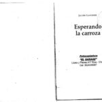 خرید و دانلود نسخه کامل کتاب Esperando la carroza