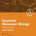 خرید و دانلود نسخه کامل کتاب Essential Molecular Biology: A Practical Approach Volume I (Practical Approach Series) (2nd edition)