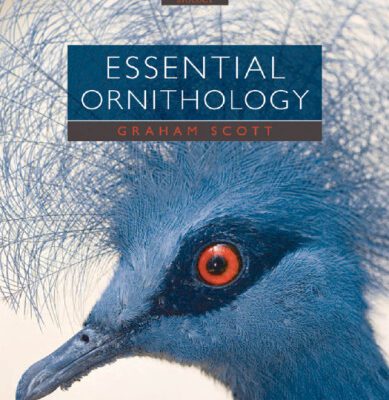 خرید و دانلود نسخه کامل کتاب Essential Ornithology