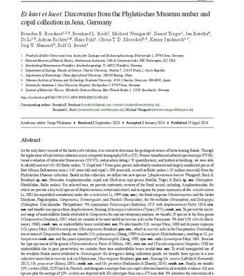 خرید و دانلود نسخه کامل کتاب Et latet et lucet: Discoveries from the Phyletisches Museum amber and copal collection in Jena, Germany