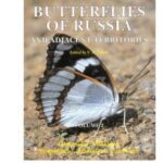 خرید و دانلود نسخه کامل کتاب etc. Guide to the Butterflies of Russia and Adjacent Territories (Lepidoptera, Rhopalocera). Volume 2: Libytheidae, Danaidae, Nymphalidae, Riodinidae, and Lycaenidae