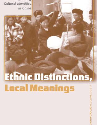 خرید و دانلود نسخه کامل کتاب Ethnic Distinctions, Local Meanings: Negotiating Cultural Identities in China (Anthropology, Culture and Society Series)