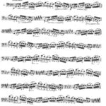 خرید و دانلود نسخه کامل کتاب Etudes-caprices