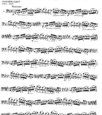 خرید و دانلود نسخه کامل کتاب Etudes-caprices