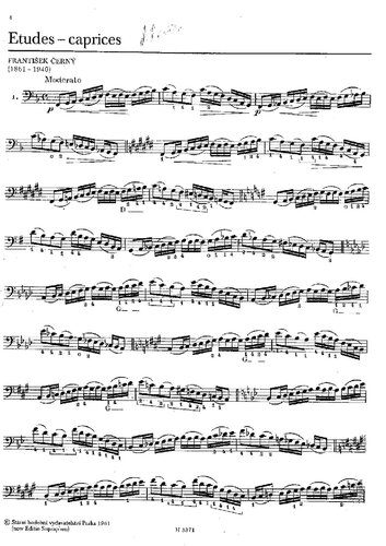 خرید و دانلود نسخه کامل کتاب Etudes-caprices_68dd9a382ee4e.jpeg خرید و دانلود نسخه کامل کتاب Etudes-caprices