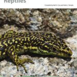 خرید و دانلود نسخه کامل کتاب European Red List of Reptiles