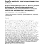 خرید و دانلود نسخه کامل کتاب Evaluation of damage caused by Bruchus pisorum L. (Coleoptera: Chrysomelidae) on some parameters related to seed quality of pea forage cultivars (Pisum sativum L.)