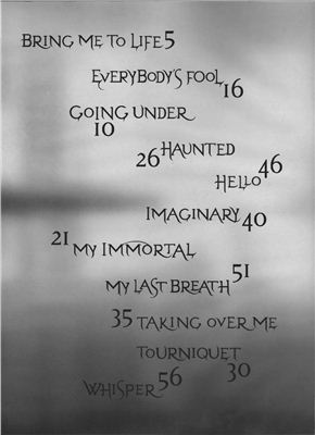خرید و دانلود نسخه کامل کتاب Evanescence Fallen Songbook