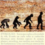 خرید و دانلود نسخه کامل کتاب Evolução