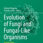خرید و دانلود نسخه کامل کتاب Evolution of Fungi and fungal-like organisms