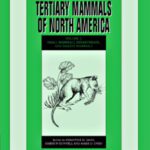 خرید و دانلود نسخه کامل کتاب Evolution of Tertiary Mammals of North America: Small Mammals, Xenarthrans, and Marine Mammals