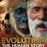 خرید و دانلود نسخه کامل کتاب Evolution: The Human Story