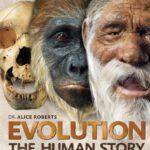 خرید و دانلود نسخه کامل کتاب Evolution: The Human Story