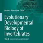 خرید و دانلود نسخه کامل کتاب Evolutionary Developmental Biology of Invertebrates 2: Lophotrochozoa (Spiralia)