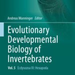 خرید و دانلود نسخه کامل کتاب Evolutionary Developmental Biology of Invertebrates 5: Ecdysozoa III: Hexapoda