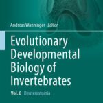 خرید و دانلود نسخه کامل کتاب Evolutionary Developmental Biology of Invertebrates 6: Deuterostomia