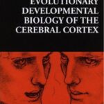 خرید و دانلود نسخه کامل کتاب Evolutionary Developmental Biology of the Cerebral Cortex (Novartis Foundation Symposia)
