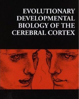 خرید و دانلود نسخه کامل کتاب Evolutionary Developmental Biology of the Cerebral Cortex (Novartis Foundation Symposia)