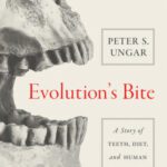 خرید و دانلود نسخه کامل کتاب Evolution’s Bite: A Story of Teeth, Diet, and Human Origins