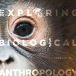 خرید و دانلود نسخه کامل کتاب Exploring Biological Anthropology: The Essentials Third Edition