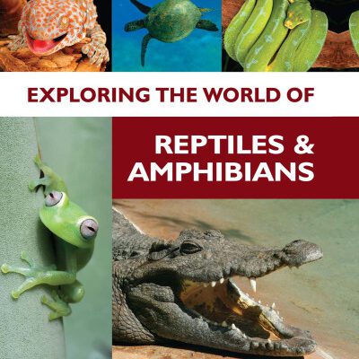 خرید و دانلود نسخه کامل کتاب Exploring the World of Reptiles and Amphibians