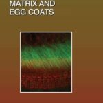 خرید و دانلود نسخه کامل کتاب Extracellular Matrix and Egg Coats