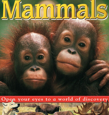 خرید و دانلود نسخه کامل کتاب Eye Wonder: Mammals (Eye Wonder)