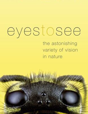 خرید و دانلود نسخه کامل کتاب Eyes to See: The Astonishing Variety of Vision in Nature