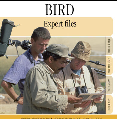 خرید و دانلود نسخه کامل کتاب Eyewitness Experts: Bird
